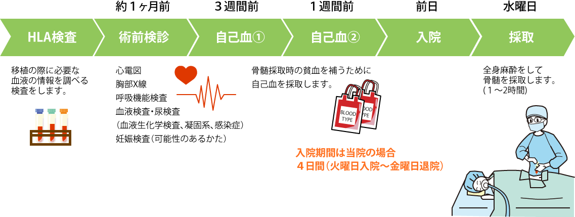 画像:骨髄採取のながれ