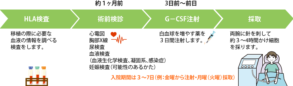 画像:末梢血管細胞採取のながれ