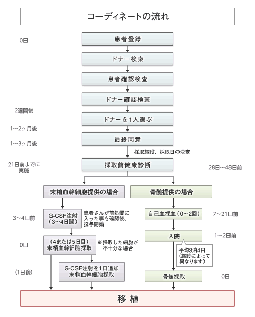 画像:コーディネートのながれ